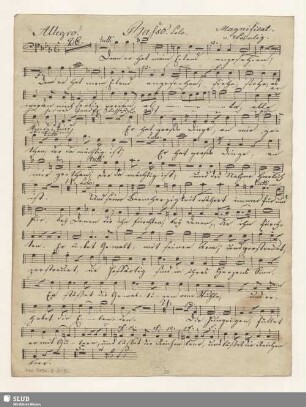 Basso solo