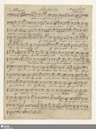 Basso solo