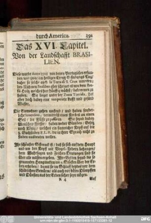 Das XVI. Capitel. Von der Landschafft Brasilien.