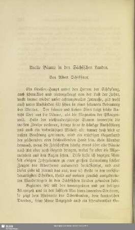 Uralte Bäume in den Sächsischen Landen