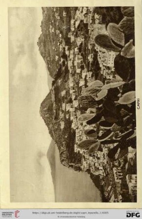 Capri