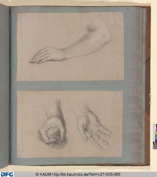 Hand- und Armstudie