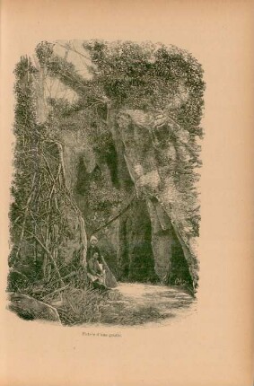 Entrée d'une grotte