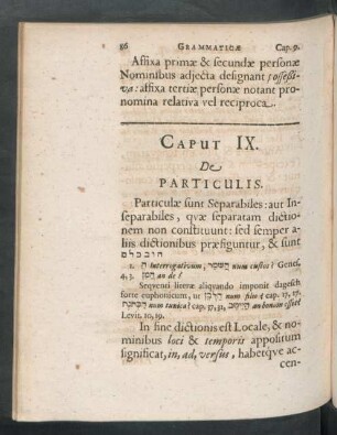 Caput IX. De Particulis