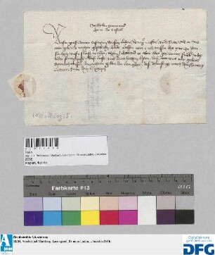 Wilhelm Graf und Herr zu Castell sagt der Nürnberger Kaufmannschaft zur Frankfurter Fastenmesse sicheres Geleit zu.