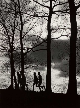 "runners in woods" (Junior Bazaar)