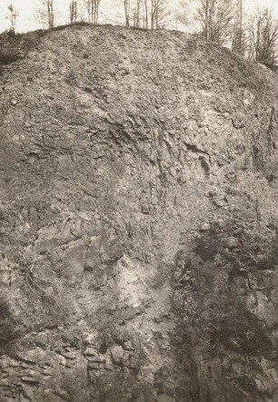 Basaltschlot im Sandstein. Mühlsteinbrüche bei Jonsdorf, Kellerbergbruch