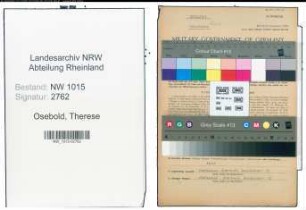 Entnazifizierung Therese Osebold , geb. 15.10.1898 (Lehrerin)