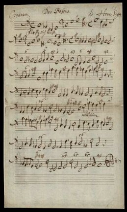 Organum