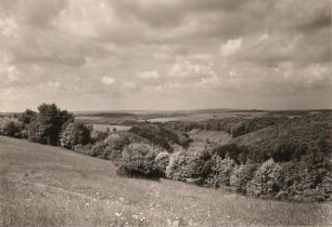Woogbachtal. Blick talabwärts. Im Hintergrund die Höhenzüge des Saartals