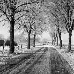 Schlossstraße: Baumallee: hinten Einmündung auf Bundesstraße B 404: Verkehrsschild und Pkw: links Lkw mit Anhänger: im Hintergrund Bauerngehöft: Winter