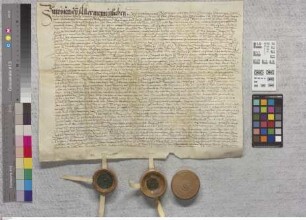 Groß-Rohrheim: Biblis. Vertrag zwischen den Gemeinden Biblis und Groß-Rohrheim, errichtet von den pfälzischen Räten Konrad v. Obentraut, Burggraf ...