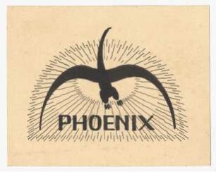 Entwurf eines Logos : Stilisierter Vogel mit ausgebreiteten Schwingen in der Mitte eines strahlenartigen Musters, darunter Schriftzug
