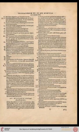 XVI. musculorum figurae characterum index