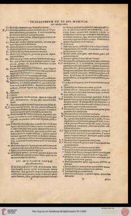XVI. musculorum figurae characterum index
