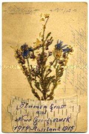 Feldpostkarte mit aufgeklebten Trockenblumen