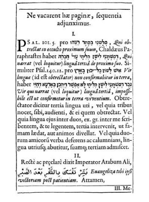 Ne vacarent hæ paginæ, sequentia adjunximus.