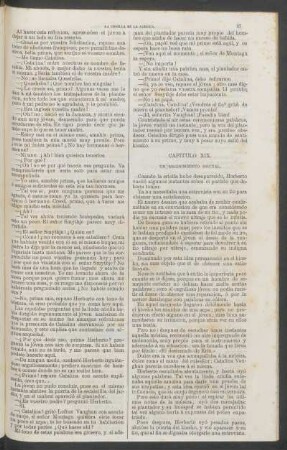 Capítulo XIX. - Un recibimiento brutal.