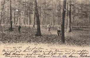 Leipzig: Waldweg nach Schleussig