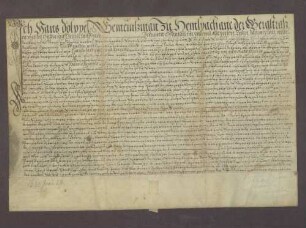 Hans Dölpel zu Hemsbach verschreibt sich gegenüber der Landschreiberei Heidelberg über 100 Gulden Kapital.