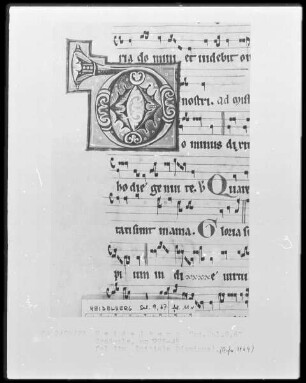 Graduale — Initiale D (ominus), Folio 11verso