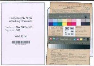 Entnazifizierung Ernst Wild , geb. 02.11.1904 (Steuersekretaer)