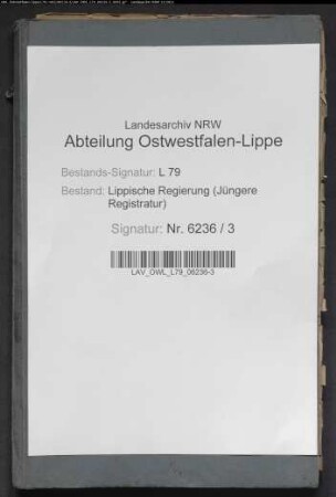 Stammrolle des Amts Oerlinghausen (Aushebungsbezirk Lage, ab 1879 Lemgo), Bd. 3