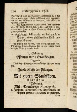 136-138, Mit zweey Staubfäden
