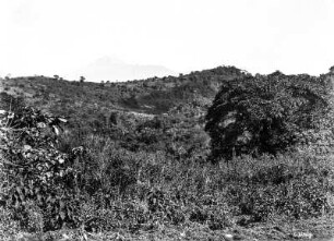 Hügellandschaft : Blick über eine Hügellandschaft mit verschiedenartiger Vegetation auf den Gipfel des Meru.