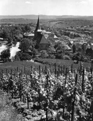 Weinsberg. Stadtansicht mit Johanneskirche. Blick von den von den Weinbergen unterhalb der Burgruine Weibertreu