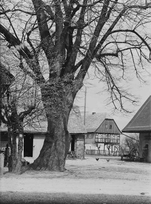 Platz, Kemnitz (Kreis Löbau )