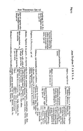 Avium Terrestrium Tabula