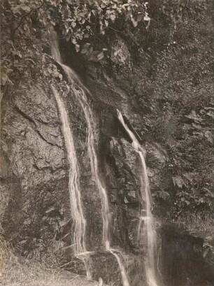 Elbsandsteingebirge. Hirschgrundbach. Kleiner Wasserfall bei der Hirschmühle (Elbtal)