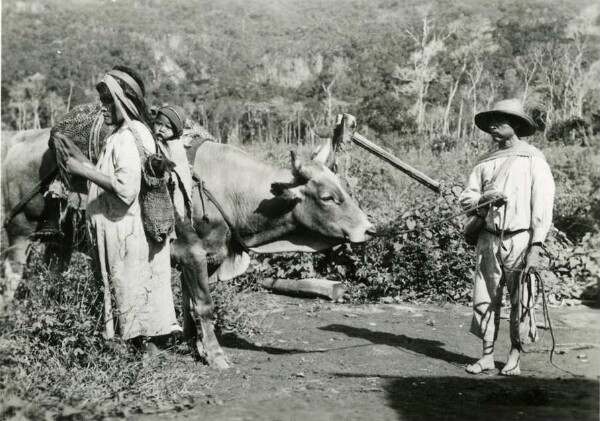 Femme Arhuaco avec petit cochon et enfant dans des sacs de transport.