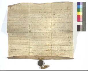 Honorius III. nimmt den deutschen Orden in seinen Schutz.