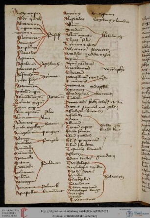 Lat.-dt. Pflanzennamen-Synonymwörterbuch (Nachtrag)