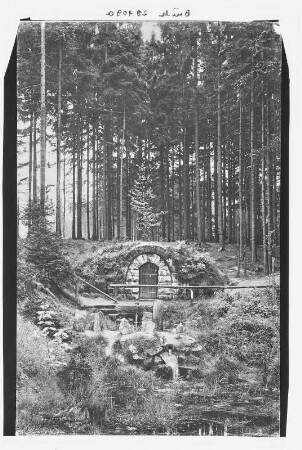 Grillenburg. Warnsdorfer Quelle im Grillenburger Wald