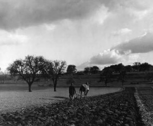 Landschaft mit pflügendem Bauern, vielleicht bei Leonberg