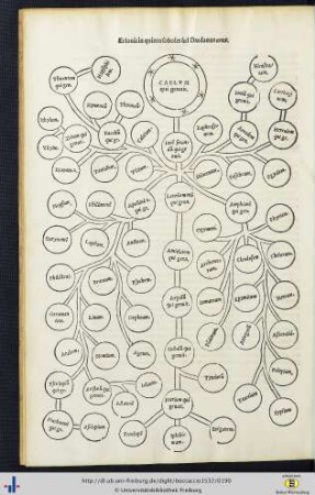 Caelum, qui genuit ... (Genealogische Tafel).