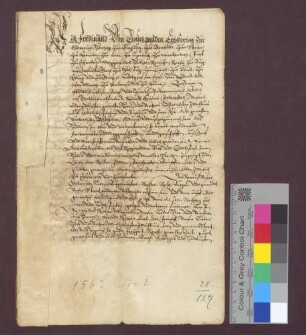 Erzherzog Ferdinand von Österreich bestätigt die Privilegien der Stadt Endingen.