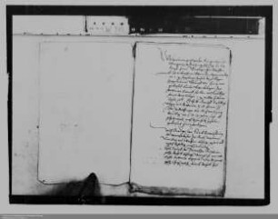 Gemeinde Altweilnau ./. Johann von Walderdorff, Burgmann in Altweilnau: Vorspann und Weiderechte