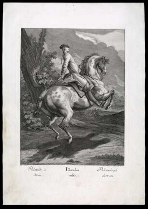 Palottade à droite = Palotaden rechts = Pallotada ad dextram