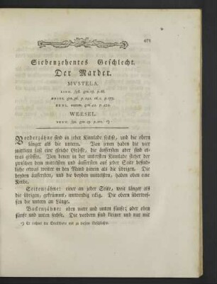 Siebenzehentes Geschlecht. Der Marder.