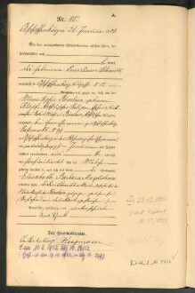 Standesamtsbuch der Stadt Aschaffenburg: Geburten 365/1900 - 184/1901