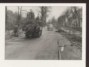 Pflanzarbeiten an der Allee. Detmold. Allee. Papierabzug