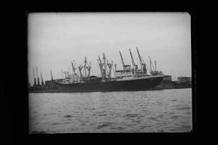 Peter Rickmers (1962), Rickmers Linie GmbH & Cie. KG, Hamburg