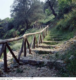 Kreta: Höhlen auf Kreta