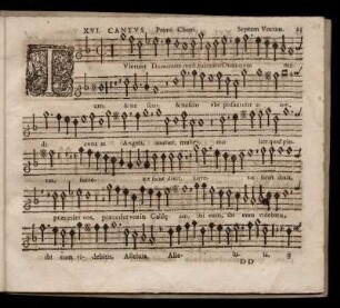 Tulerunt Dominum meum