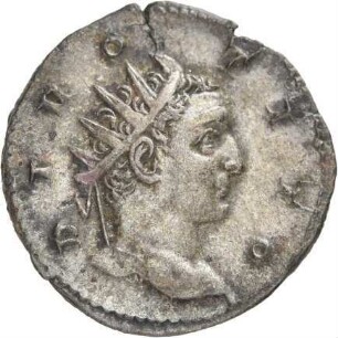 Divi: Divus Titus
