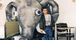 Elefant im Krankenhaus
